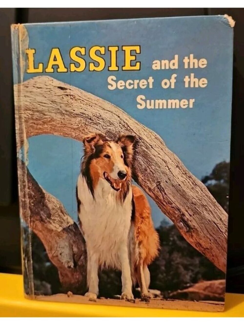 Lassie and the Secret of the Summer Hardcover Book by Dorothea Snow Vintage 1958